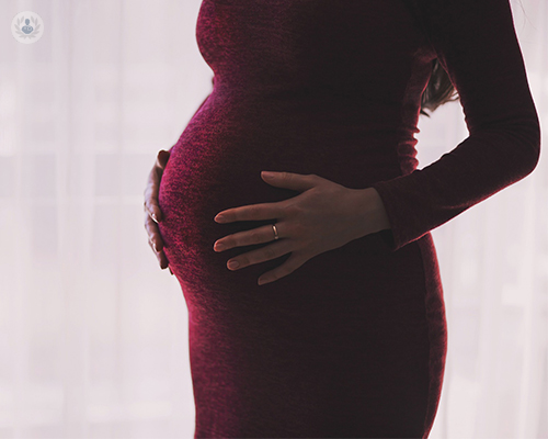 transferencia-de-embriones