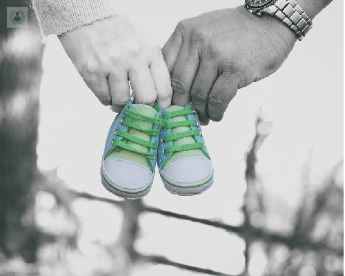 despues-de-la-transferencia-embrionaria