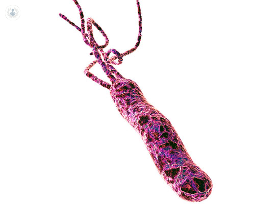 Helicobacter Pylori: Qué es y cómo tratarlo