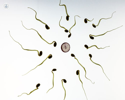 Preservar la fertilidad, una solución para hombres y mujeres