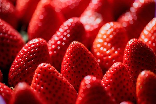 dieta-cetogenica-una-solucion-largo-plazo-vida-saludable imagen de artículo