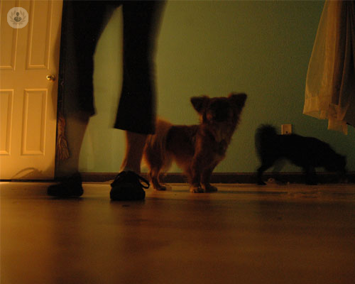 sindrome-de-piernas-inquietas imagen de artículo