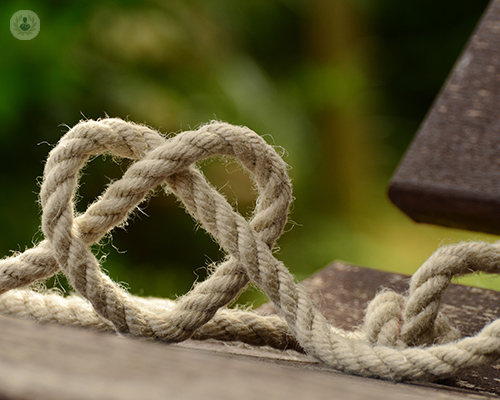 hipertension-renal-cardiovascular