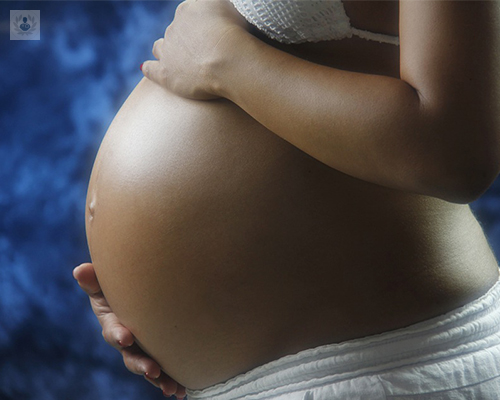 metodos-de-reproduccion-asistida imagen de artículo