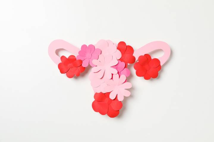 bienestar-femenino-terapias-regenerativas-laser-genital imagen de artículo