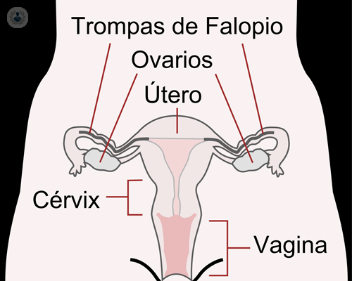 consulta-ginecologica