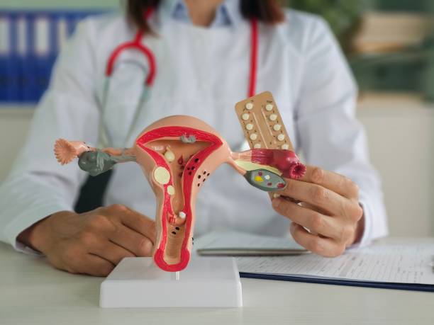 la-importancia-del-control-ginecologico-anual imagen de artículo