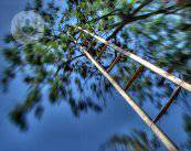 el-vertigo-puede-aparecer-a-cualquier-edad