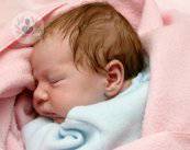 diagnostico-preimplantacional