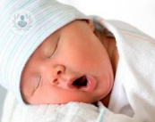 reproduccion-asistida-ropa