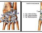 lesiones-de-muneca