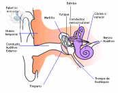 Avances en las cirugías de oído medio