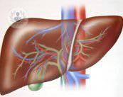 osteopatia-para-el-higado