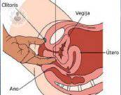 vagina