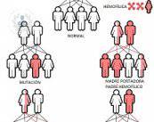 hemofilia-hemorragias