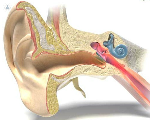Pérdida de audición: incidencia, diagnóstico y tratamiento