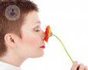nariz-flor