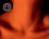 cuello-chica