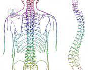 cirugia-de-la-columna-vertebral