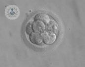 La modificación genética de embriones supone progreso científico