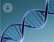 analisis-genetico-cancer