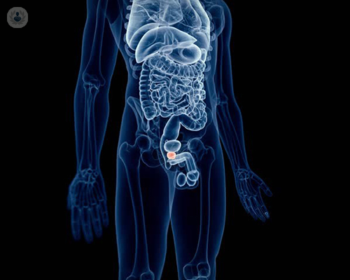 localizacion-del-cancer-de-prostata