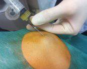 factores-de-crecimiento-1