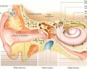 sordera-tratamiento