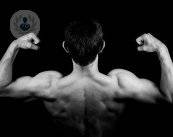 productos-de-musculacion