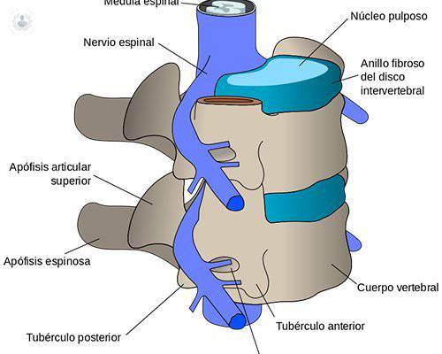 cirugia-minimamente-invasiva