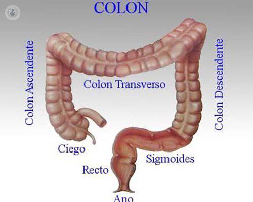 colon