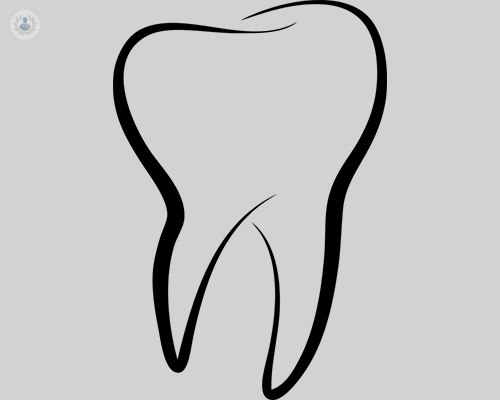 diente-muela
