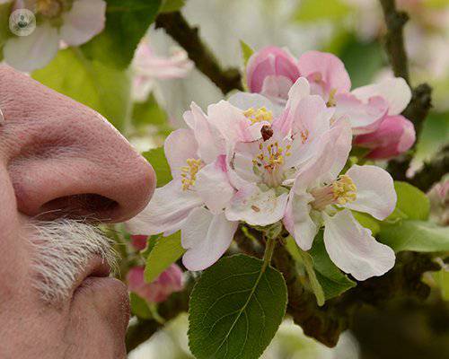 radiofrecuencia-cornetes