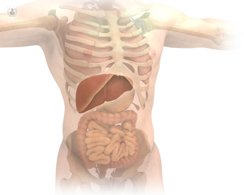 enfermedades-hepaticas-y-como-tratarlas