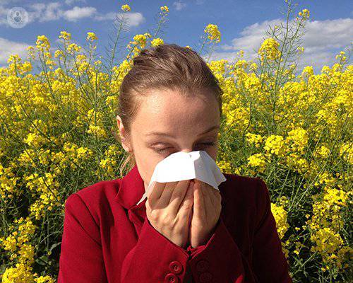 Alergias respiratorias, cómo controlar sus síntomas