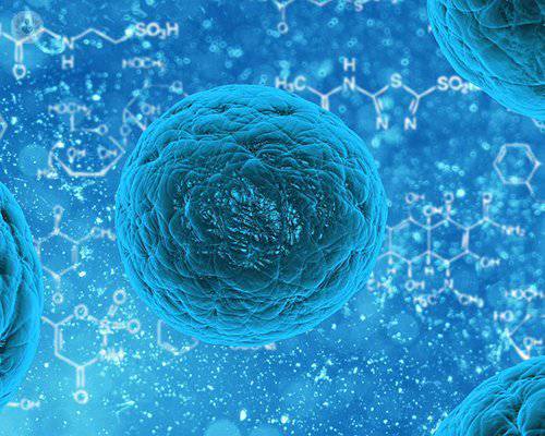 El tratamiento con células madre