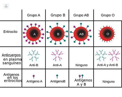 grupos-sanguineos