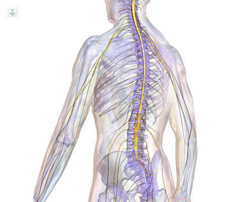 lesiones-de-columna