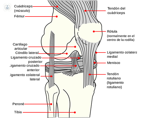 How to Treat Anterior Cruciate Ligament Injuries