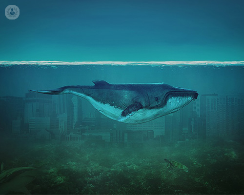 el-juego-de-la-ballena-azul