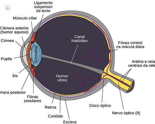 trasplante-cornea