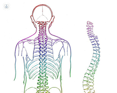espondilitis-columna-vertebral-aparato-locomotor