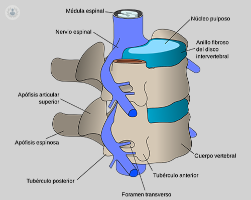 estructura-columna