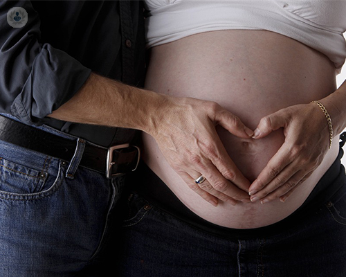 fecundacion-in-vitro