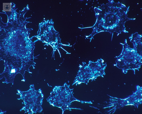 descubren-capacidad-de-las-celulas-tumorales-para-autodestruirse imagen de artículo