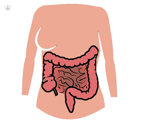 Endoscopia digestiva para diagnosticar posibles enfermedades digestivas