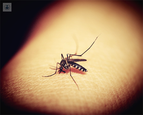 Tipos de reacciones adversas alérgicas a picaduras de insectos