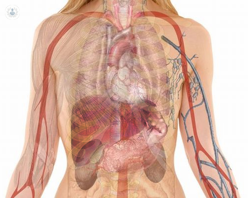 enfermedades-hepaticas