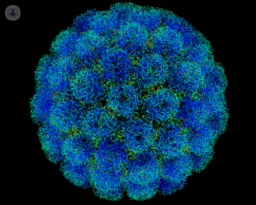 Virus del papiloma humano: tipos y prevención