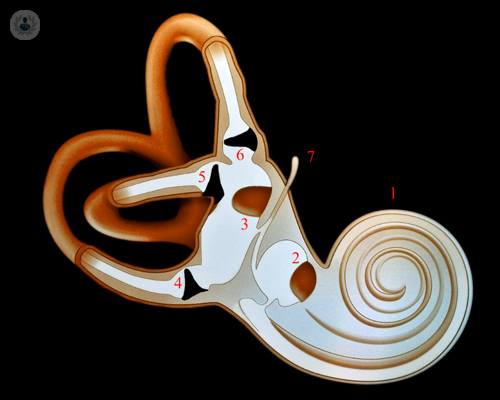 oido-interno-enfermedad-de-meniere